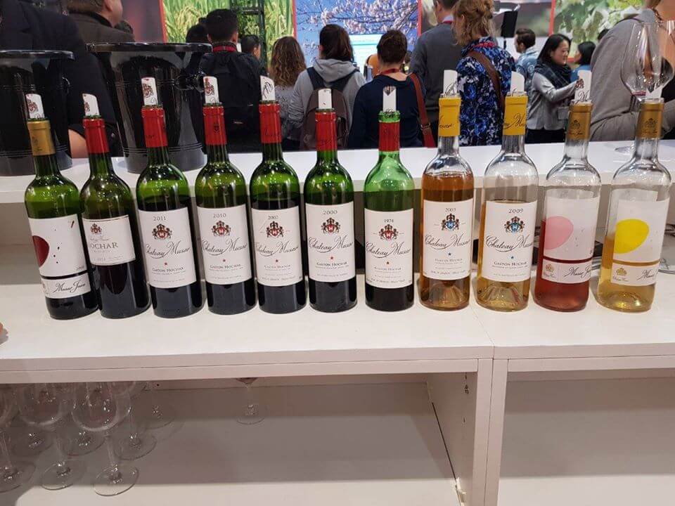 Chateau Musar 1
